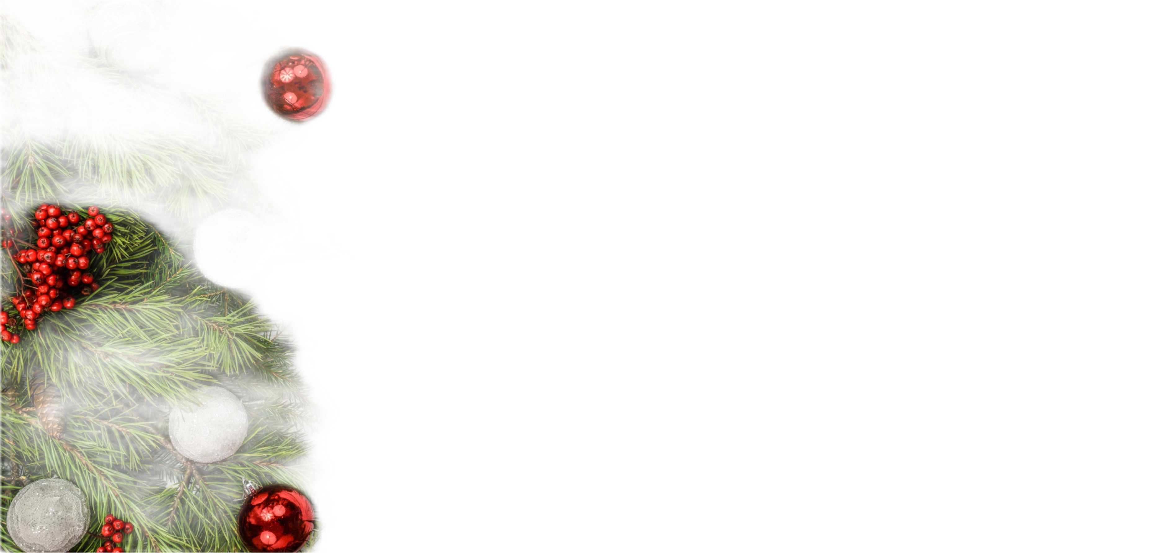 Weihnachtsdekoration mit roten Kugeln und Tannenzweigen auf weißem Hintergrund.